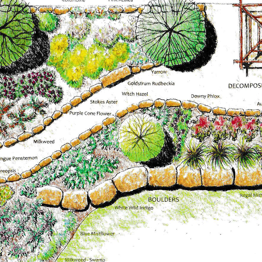 Pollinator Garden